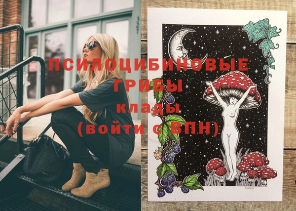 ПСИЛОЦИБИНОВЫЕ ГРИБЫ Кинешма