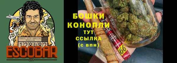 ПСИЛОЦИБИНОВЫЕ ГРИБЫ Кинешма